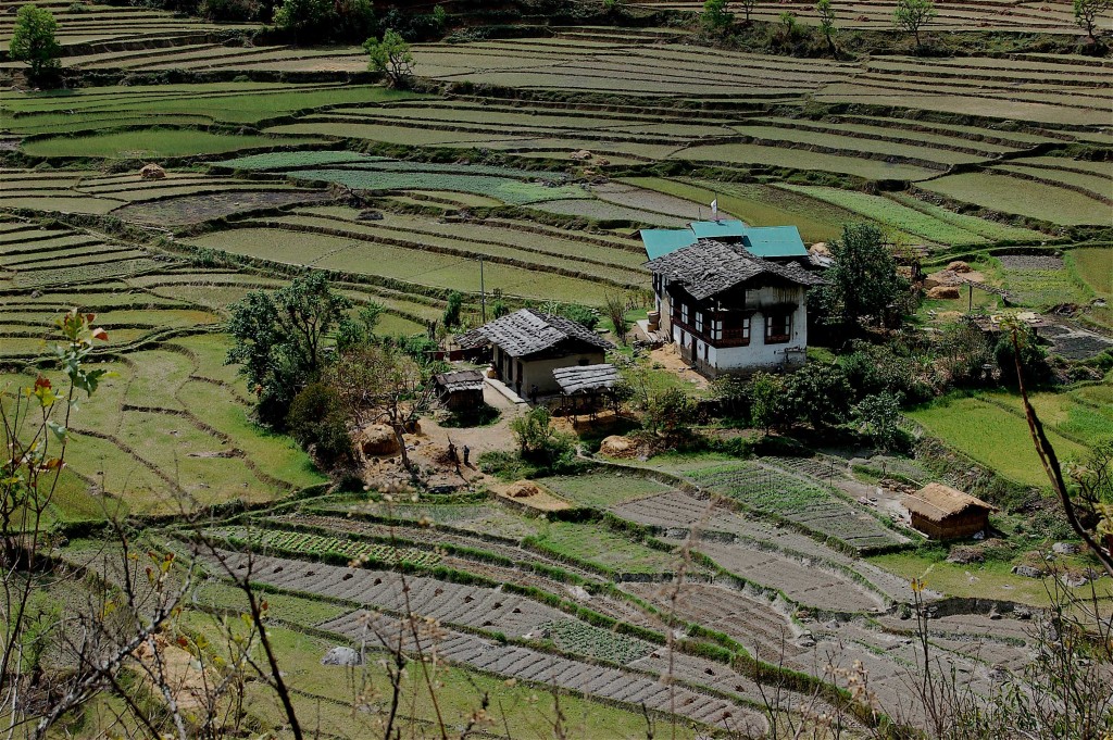 Punakha valley Bhutan