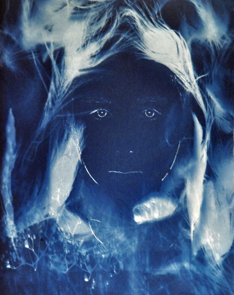 Cyanotype - looking out from feathers