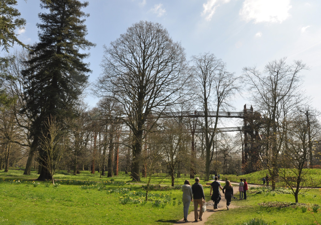 Kew Treetops Walkway 2015