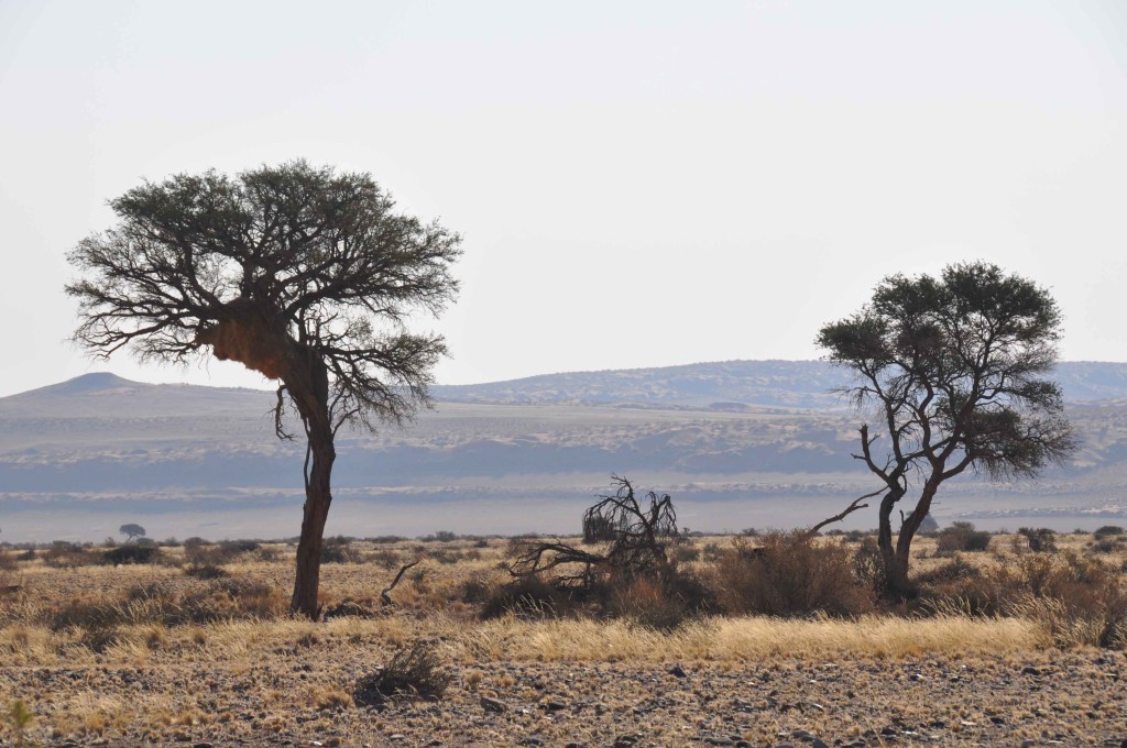 Namib Desert, Sossusvlei